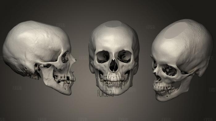 Skull Female stl model for CNC